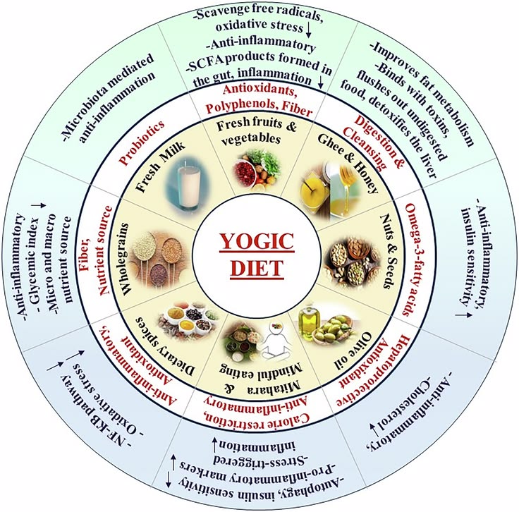 Sattvic Ahara diet chart showing antioxidant-rich foods, probiotics, and mindful eating for holistic wellness